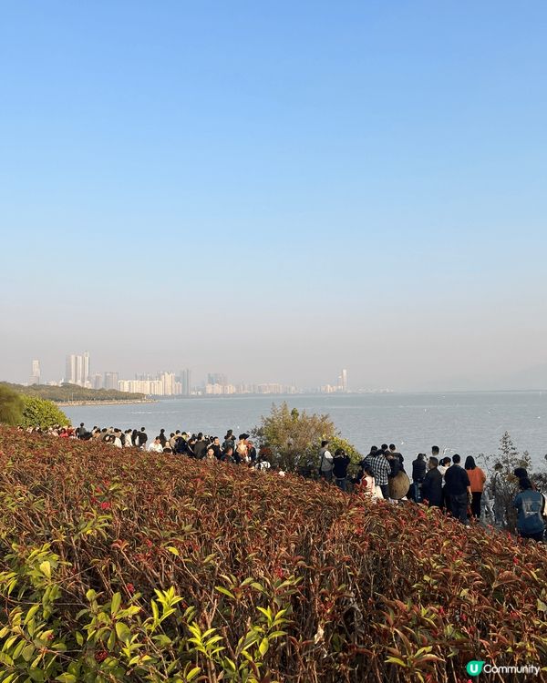之前同屋企人去咗位於深圳南山區嘅深圳灣公園，前往方法非常簡單...