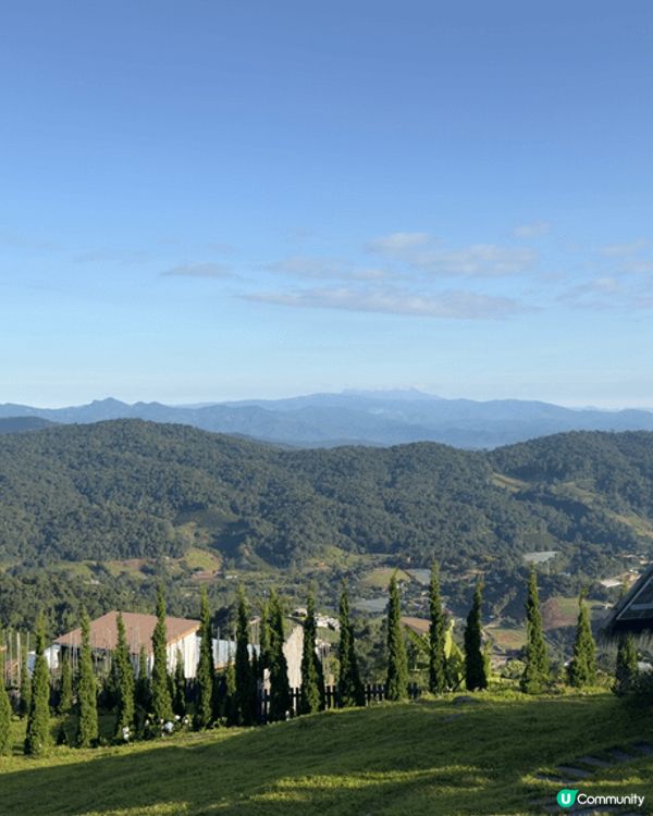 春日必定要去賞花，上海嘅梅花正值完全盛開！