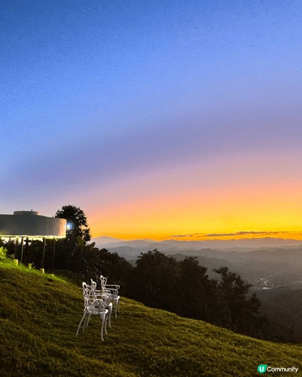 春日必定要去賞花，上海嘅梅花正值完全盛開！