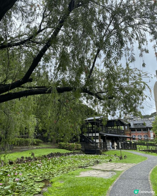 森林感超重既圖書館