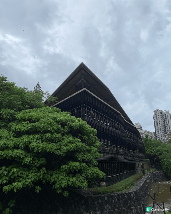 森林感超重既圖書館