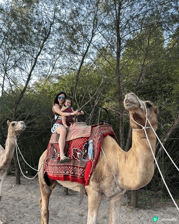 帶囡囡去巴厘島動物園，去沙灘親親大自然，去旅遊景點打卡，留下...