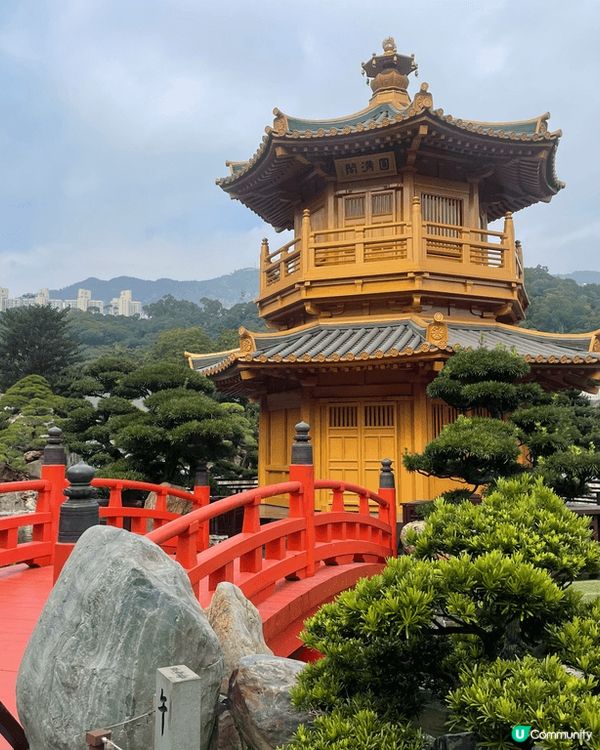 鑽石山志蓮淨院龍門樓食素食，好好味