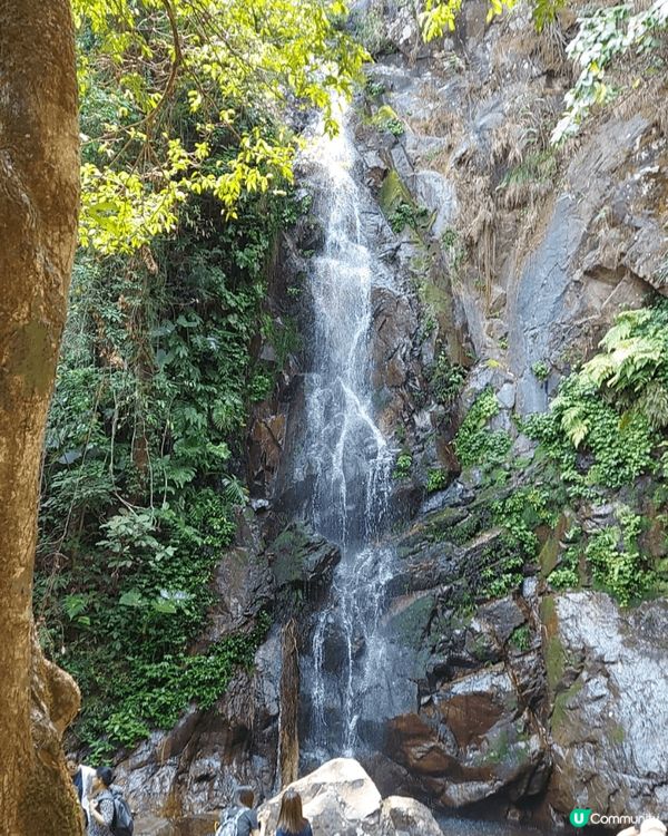 梧桐寨瀑布位於大帽山北麓，環境優美，空氣清新，是春季打卡的好...