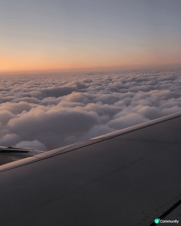 飛去台北食飽飽