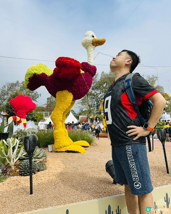 春暖花開，參觀香港花卉展2025 1. 主題：綻放英姿 2....