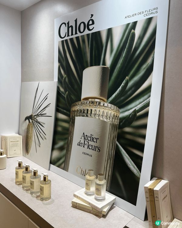 Chloé Atelier des Fleurs香港藝術展覽