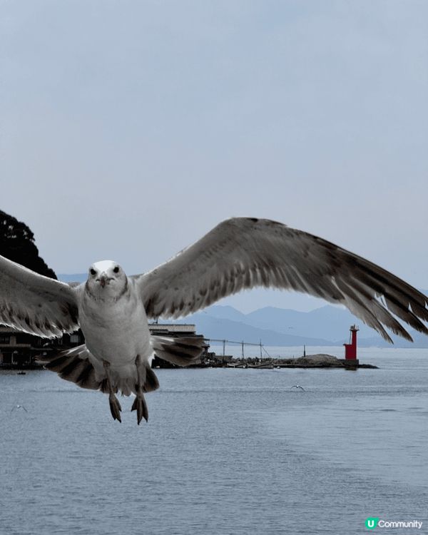 春季打卡好去處：
