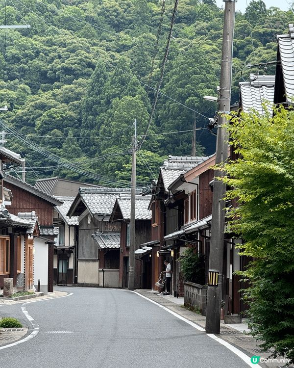 春季打卡好去處：
