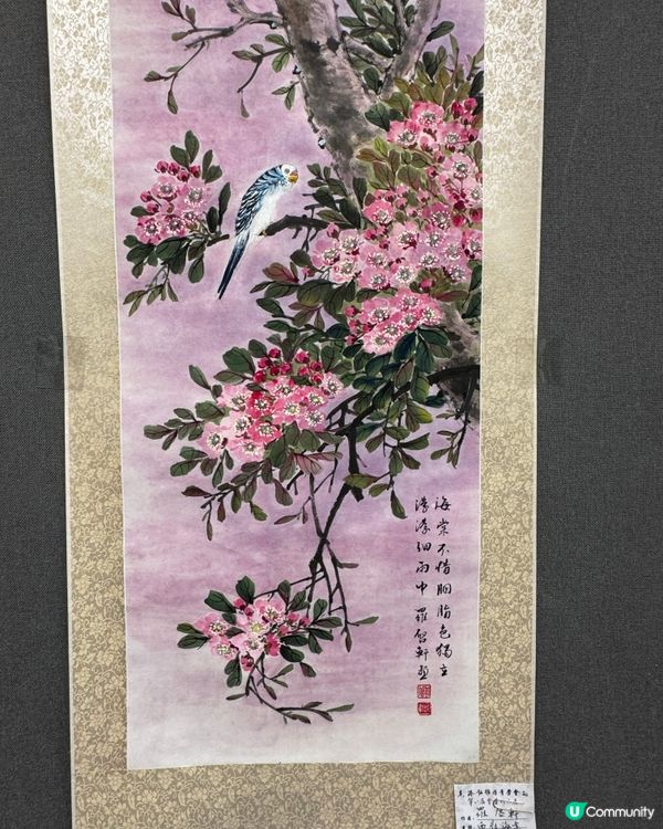 春花與鳥🕊️太美了