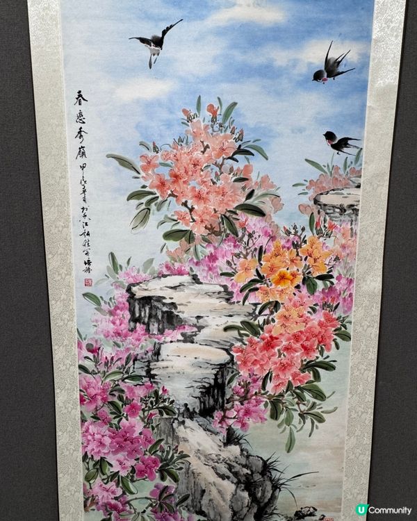 春花與鳥🕊️太美了