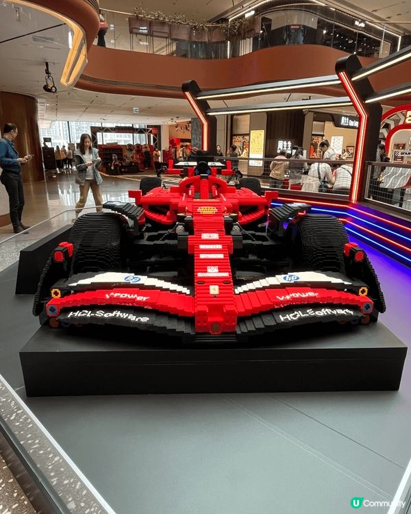 東涌宮粉羊蹄甲，欣賞黃花風鈴木，去airside 睇LEGO...