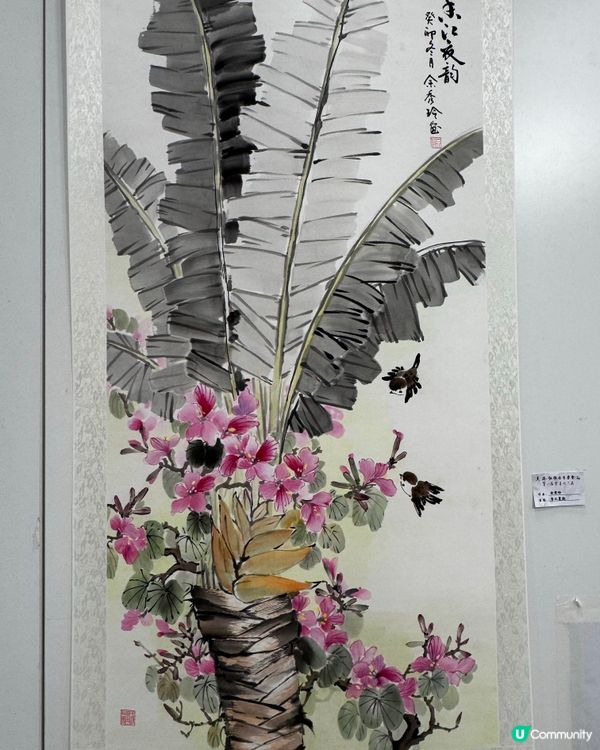 春花與鳥🕊️太美了