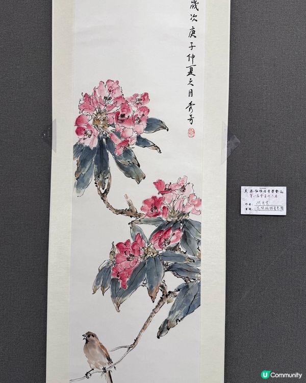 春花與鳥🕊️太美了