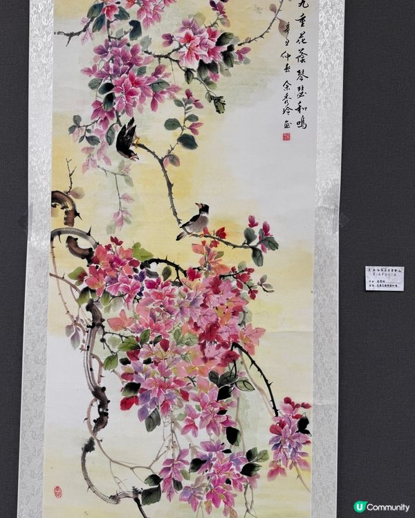 春花與鳥🕊️太美了