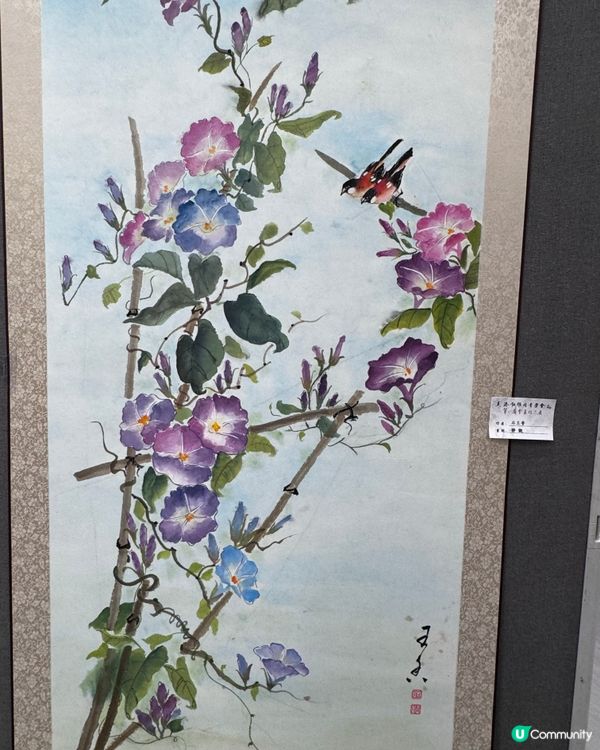 春花與鳥🕊️太美了