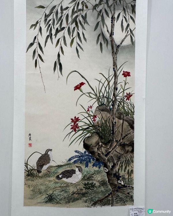 春花與鳥🕊️太美了