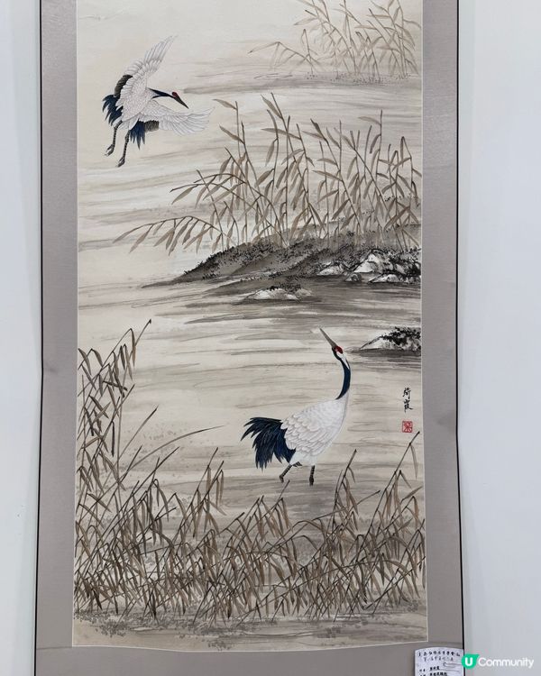 春花與鳥🕊️太美了