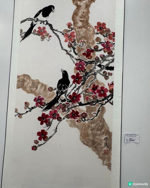 春花與鳥🕊️太美了