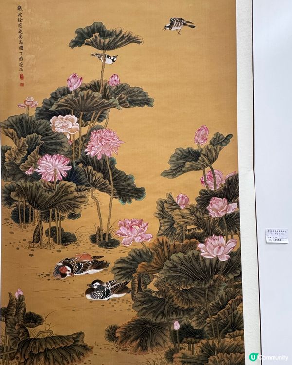 春花與鳥🕊️太美了