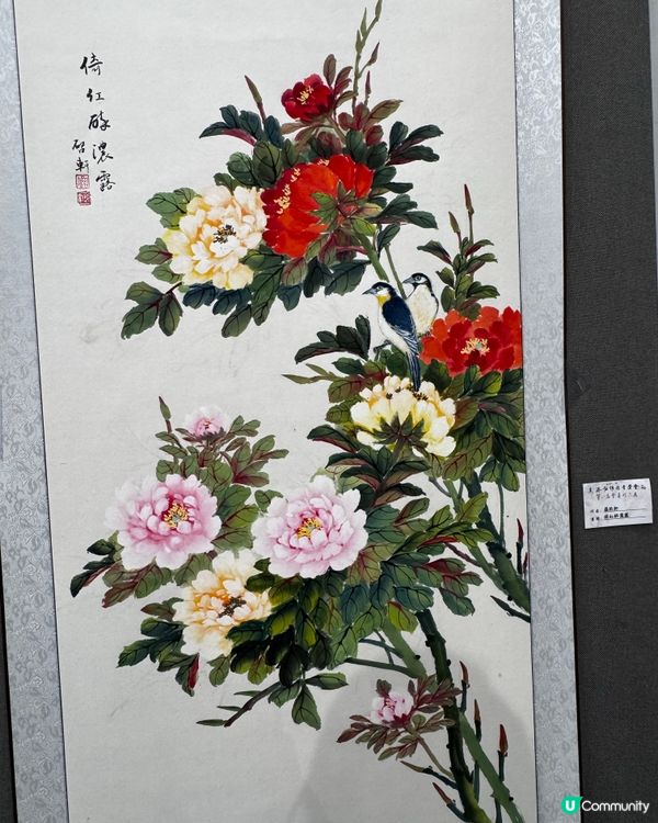 春花與鳥🕊️太美了