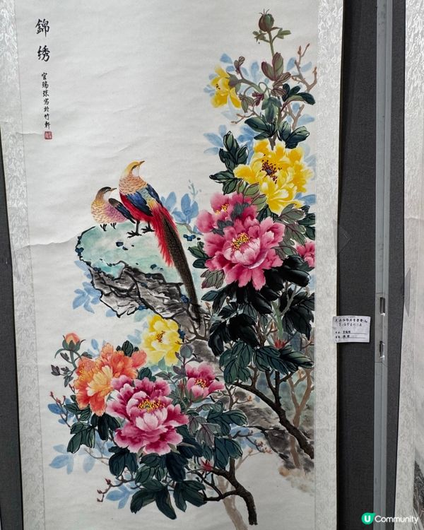 春花與鳥🕊️太美了