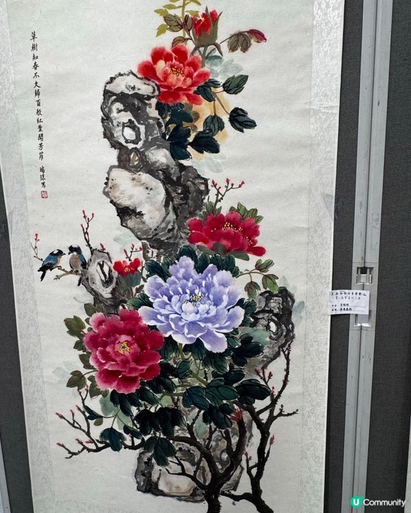 春花與鳥🕊️太美了