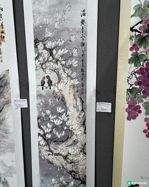 春花與鳥🕊️太美了