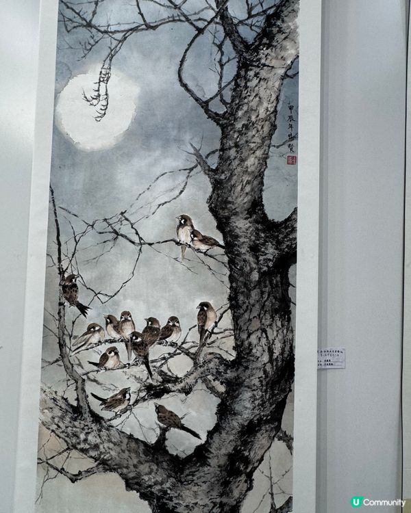 春花與鳥🕊️太美了