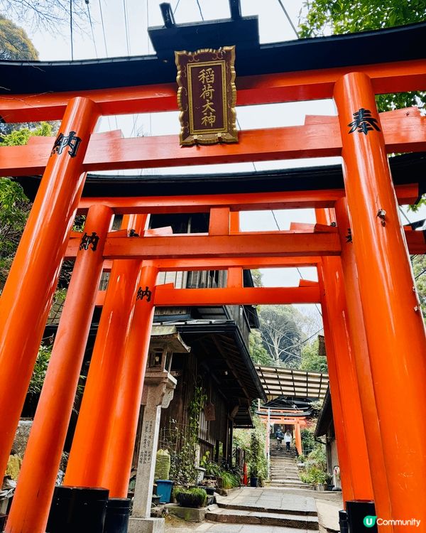 早前去了京都伏見稲荷的千本鳥居，一個接一個的朱紅色鳥居整齊排...