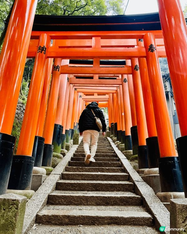早前去了京都伏見稲荷的千本鳥居，一個接一個的朱紅色鳥居整齊排...