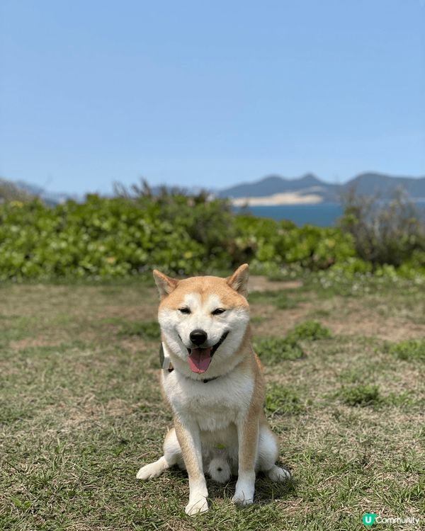 襯天氣未熱帶狗仔行山，鶴嘴路線簡單，石屎唔適合落雨後一天去，...