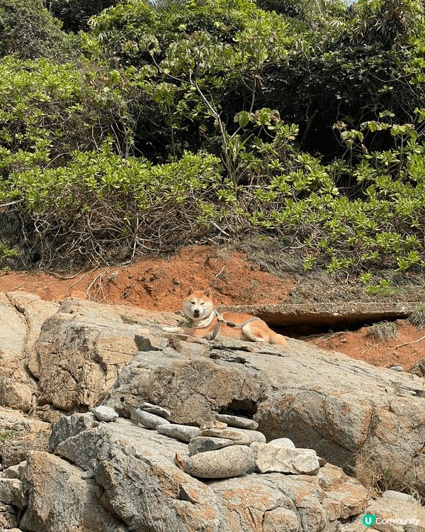 襯天氣未熱帶狗仔行山，鶴嘴路線簡單，石屎唔適合落雨後一天去，...
