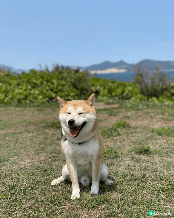 襯天氣未熱帶狗仔行山，鶴嘴路線簡單，石屎唔適合落雨後一天去，...