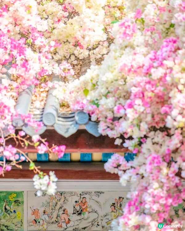 深圳國際園林花卉博覽園📸打卡簕杜鵑花海瀑布攻略😍附¥2賞花專線交通教學‼️