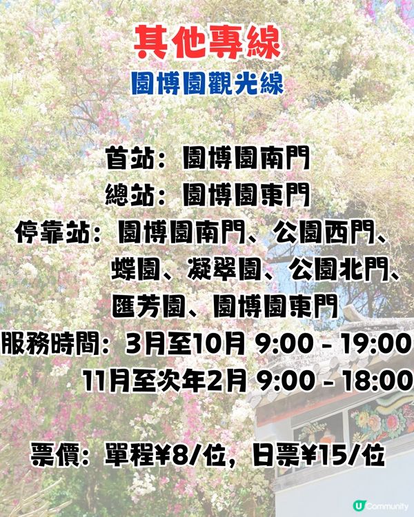 深圳國際園林花卉博覽園📸打卡簕杜鵑花海瀑布攻略😍附¥2賞花專線交通教學‼️