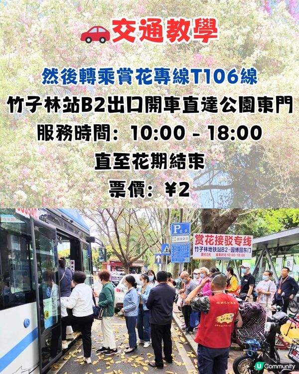 深圳國際園林花卉博覽園📸打卡簕杜鵑花海瀑布攻略😍附¥2賞花專線交通教學‼️