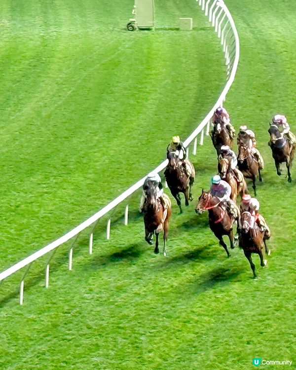 帶您進入沉浸式賽馬新體驗 🐴🐎🏇