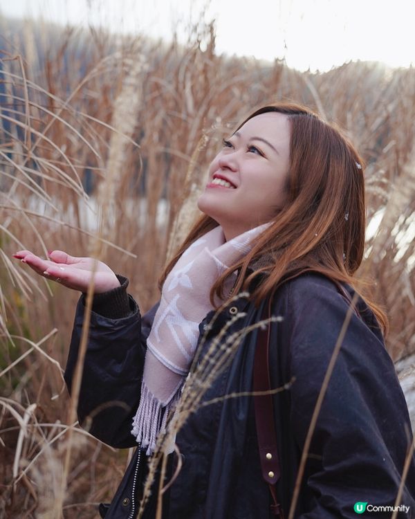 箱根自駕遊 芒草秘景 🤫