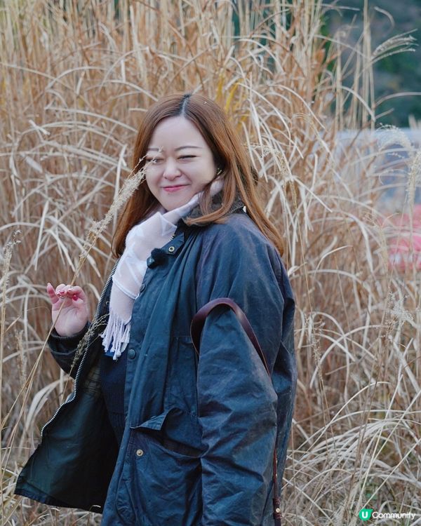 箱根自駕遊 芒草秘景 🤫