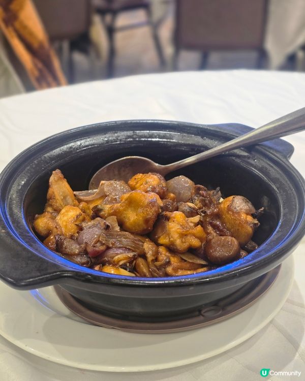 新鮮澳洲龍蝦 不用300元