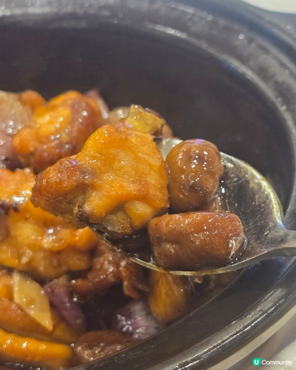 新鮮澳洲龍蝦 不用300元