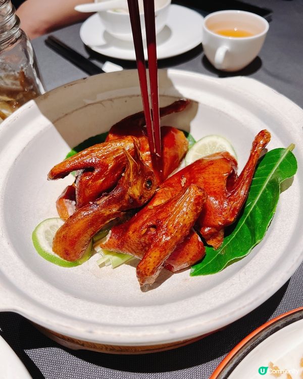 深圳必食高級粵菜！小炳勝土窯雞＋燒乳鴿超邪惡👿