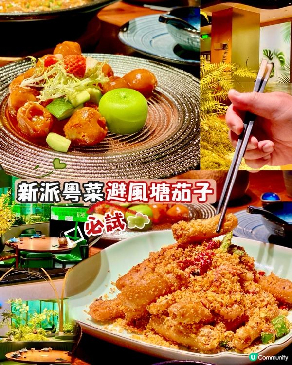 ✨深圳🇨🇳-⚠️💬惹味避風塘茄子⁉️💢竟有多款特式粵菜‼️📣📍木棉