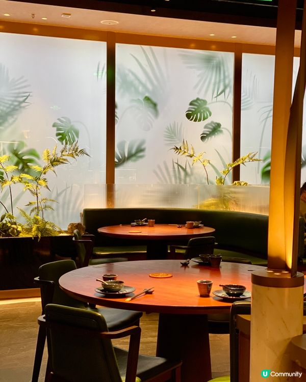 ✨深圳🇨🇳-⚠️💬惹味避風塘茄子⁉️💢竟有多款特式粵菜‼️📣📍木棉