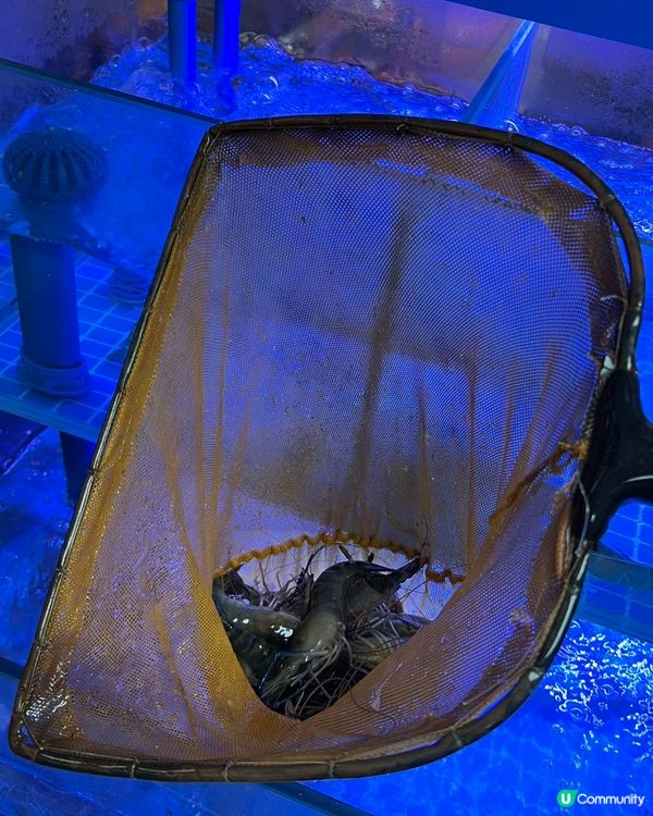 深圳必食海鮮燒烤🔥李小太燒烤🤤