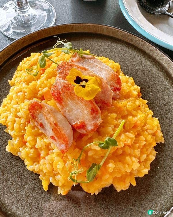 馬灣chill海旁寵物友善Cafe🐶🐱180度無邊際海景