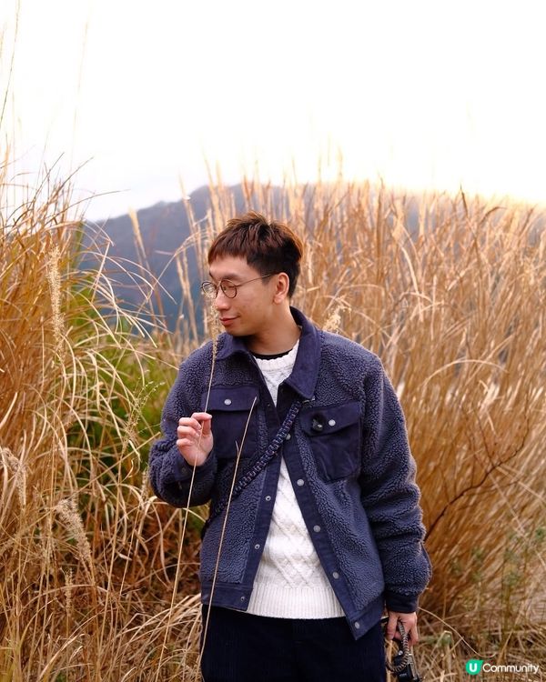 箱根自駕遊 芒草秘景 🤫