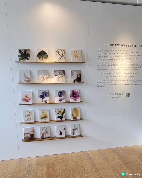 Chloé Atelier des Fleurs 香港藝術展