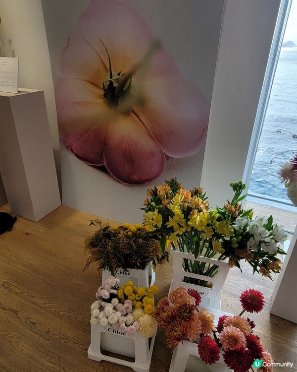 Chloé Atelier des Fleurs 香港藝術展